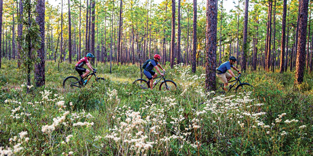 Family mountain biking