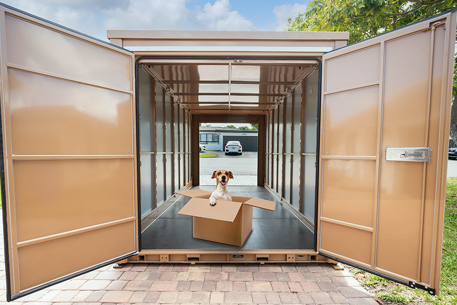 Dog in a box in a. my stack box pod