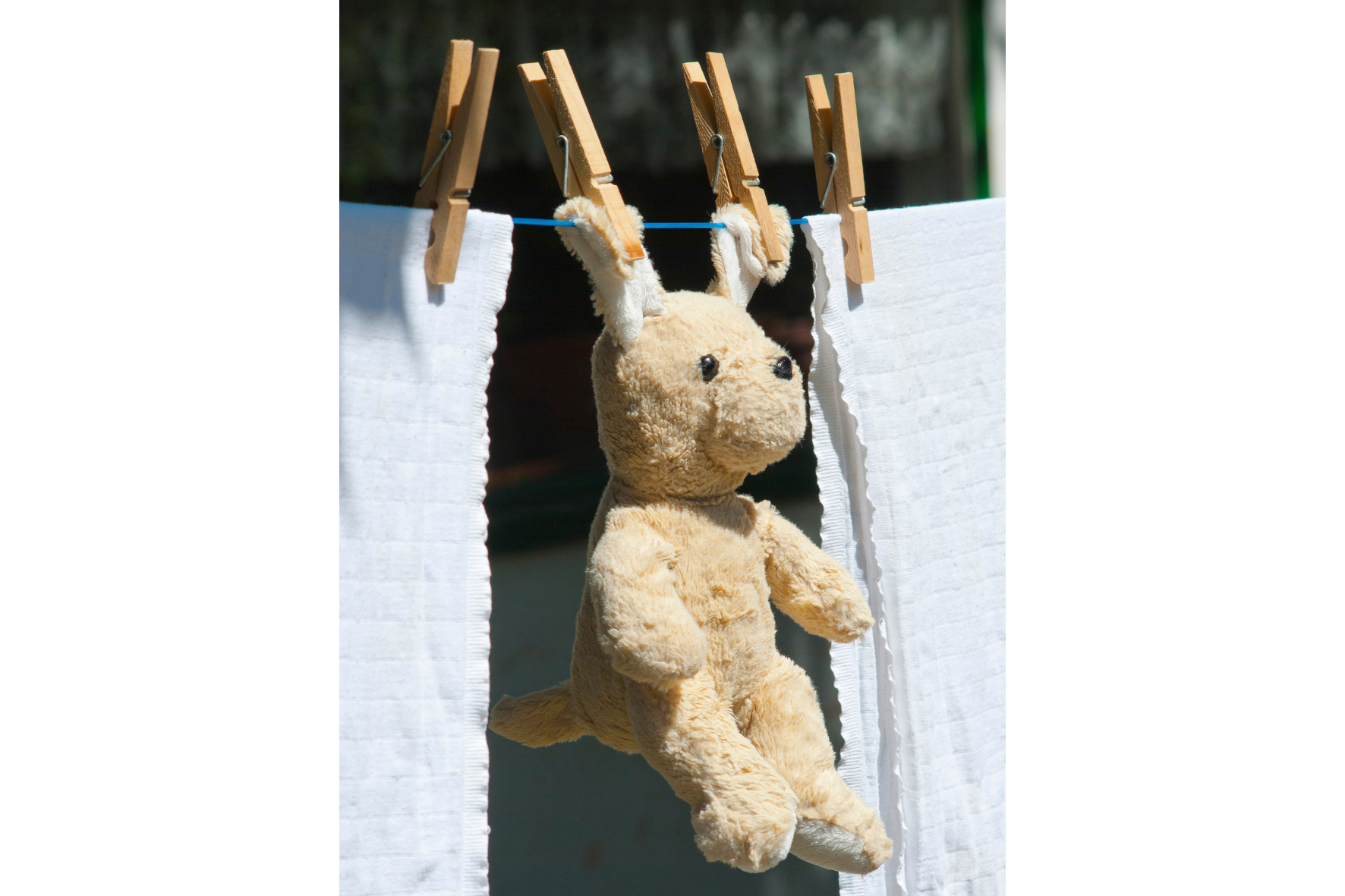 Stuffed animal drying on washing line