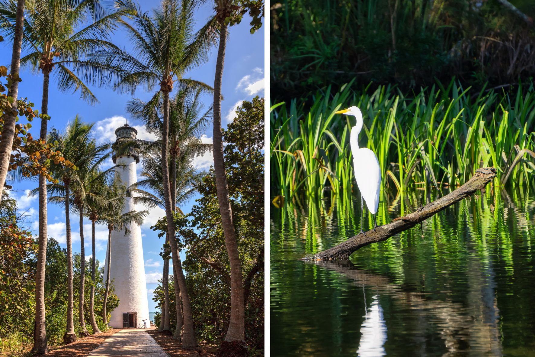 Bill baggs cape florida state park and the everglades