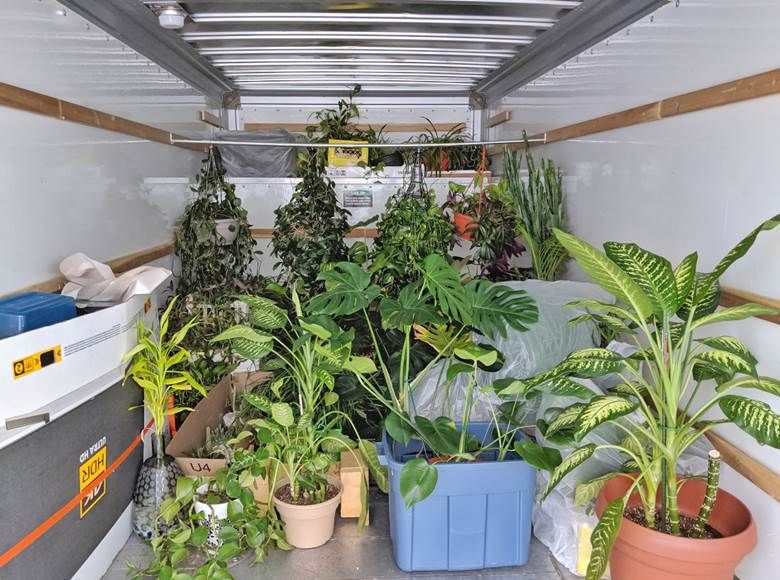 plants in a moving container pod