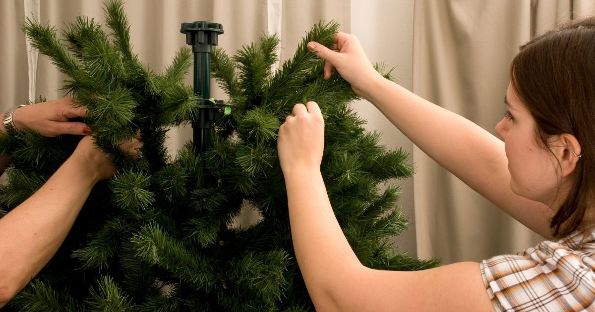 Person packing christmas tree