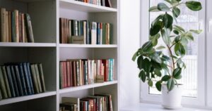 Books on a shelf