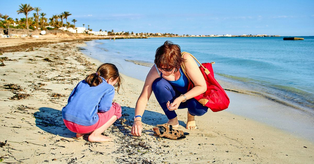 People collecting shells - MyStackBox People collecting shells